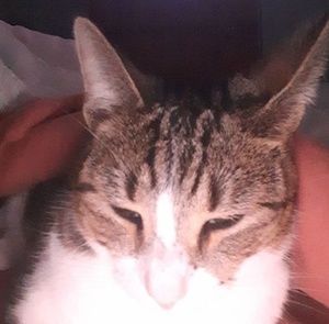 Meet your Posher, Ash